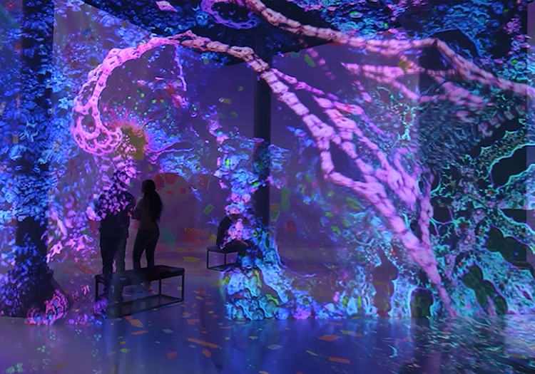 2026 03 17 artechouse dome 02a